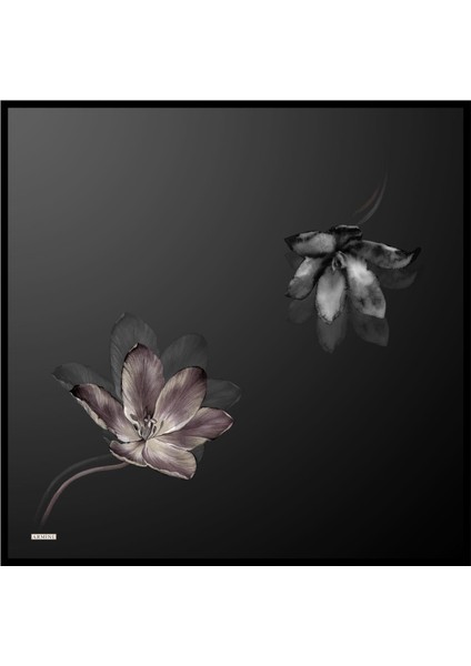 Ipek Eşarp 8737D (Twill)-54 indirimleri