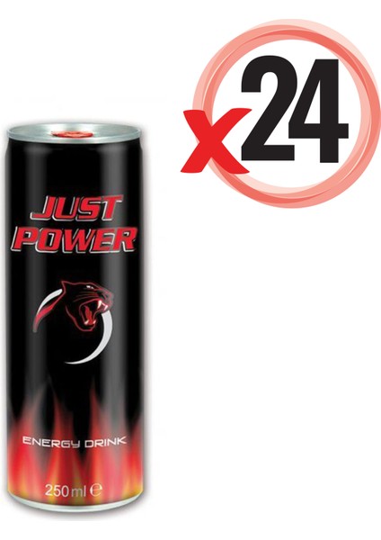250 ml Enerji İçeceği × 24'lü