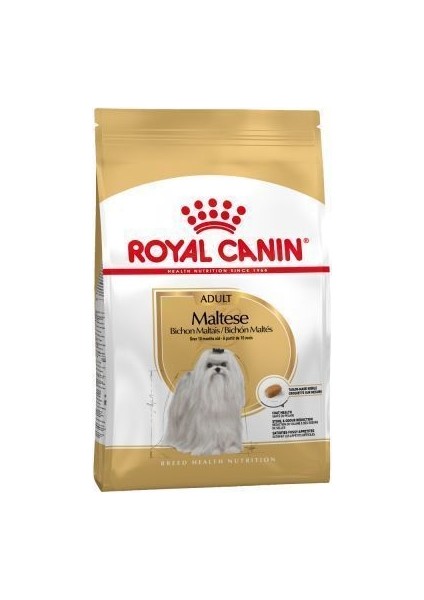 Maltese Terrier Adult Köpek Mamasi 1,5 kg
