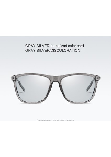 Polarize Güneş Gözlüğü - Gri (Yurt Dışından) fiyatları