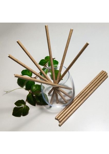 Ecostuff Kağıt Pipet 06 x 197 mm Kraft 25 Adet