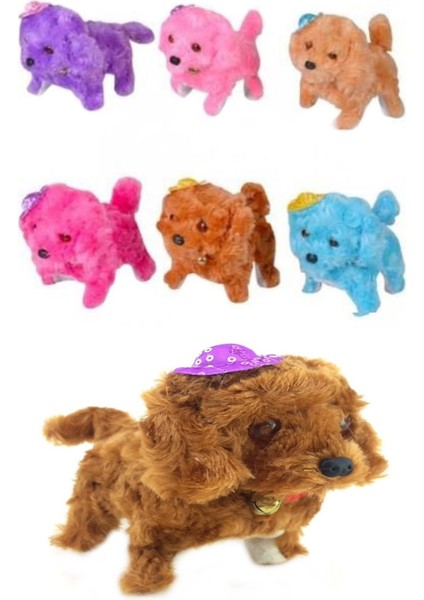 Sesli Hareket Eden Havlayan Oyuncak Peluş Köpek ve 3'lü Pop Tubes Popit Eğitici Set