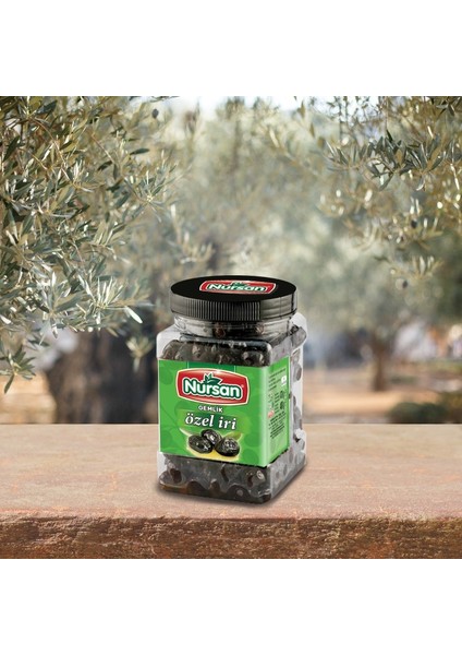 Özel Iri Yağlı Sele 400 gr