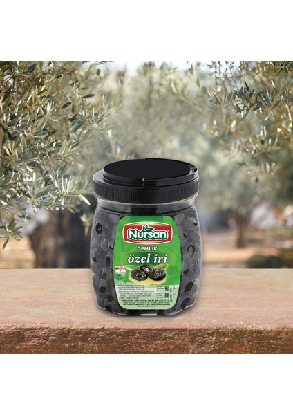 Özel Iri Yağlı Sele 800 gr