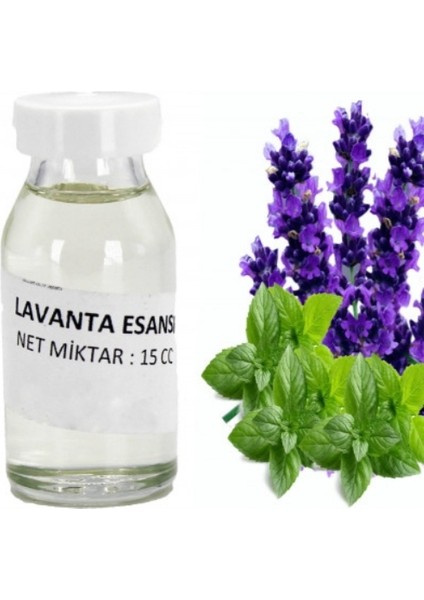 Mavi Boya İle Sabun Yapım Seti (Mavi-Lavanta)
