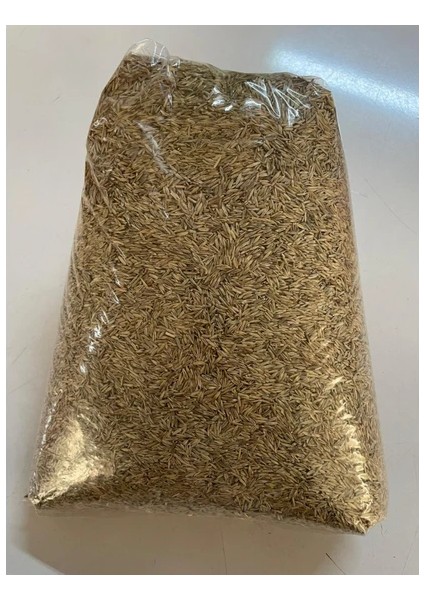 Osm Mutlu Tohumitalyançimi-Devis Süt Otu- Reygrass 1 kg fiyatları