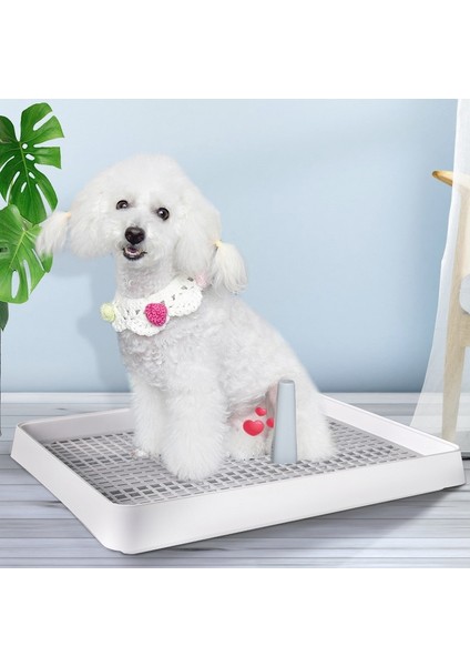 Açık Tip Evcil Köpek Tuvalet Lazımlık Pet Malzemeleri (Yurt Dışından)
