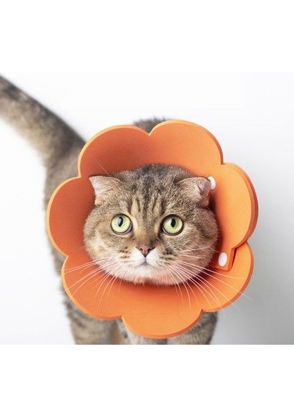 3 Pcs Pet Eva Sünger Yalanma Kötü Sterilizasyon Yakası, Boyut: L 28-36CM (Turuncu) (Yurt Dışından) modelleri