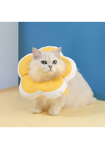 Sevimli Çiçek Şeklindeki Evcil Hayvan Anti-Licking Yaka, Spesifikasyon: M (Sarı) (Yurt Dışından) fiyatları