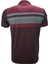 Rey Polo Basic Çizgili Polo Yaka Kısa Kol T-Shirt 129 - Bordo - L 2