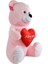 Kalpli Ayı 80 cm Pembe Pelüş Ayı 2