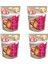 Fillets Pro Skin ve Coat Keten Tohuğumu Yağı Aromalı Köpek Ödülü 80 gr x 4 Adet 1
