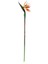 Yapay Starliçe Dalı Büyük 85 cm 1