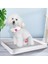 Açık Tip Evcil Köpek Tuvalet Lazımlık Pet Malzemeleri (Yurt Dışından) 2