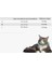 3 Pcs Pet Eva Sünger Yalanma Kötü Sterilizasyon Yakası, Boyut: Xs 12-14CM (Sarı) (Yurt Dışından) 2