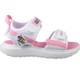  Renk Pembe