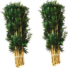 Yeşilada 24 Adet Yapay Bambu Çubukları 2 Bağ Orijinal Bitkili Bamboo