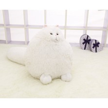 Xinhang 30 cm Kawaii Kabarık Kedi Peluş Oyuncaklar(Yurt Dışından)