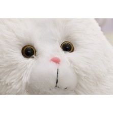 Xinhang 30 cm Kawaii Kabarık Kedi Peluş Oyuncaklar(Yurt Dışından)