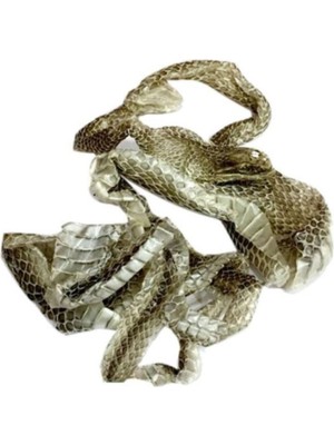 Aktar Store Yılan Derisi Yılan Gömleği 10-20 Cm