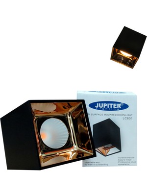 Jupiter Jüpiter S.ü. Siyah ve Altın LED Tavan Armatürü 3000K LC601S