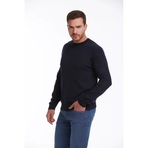 Erkek Lacivert Regular Fit %100 Pamuk Bisiklet Yaka Triko Kazak