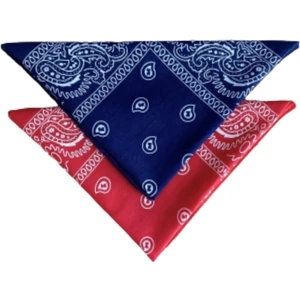 Desenli Bandana Çok Amaçlı Fular Şal Saç Bandı 2 Adet