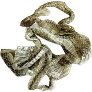 Store Yılan Derisi Yılan Gömleği 10-20 Cm