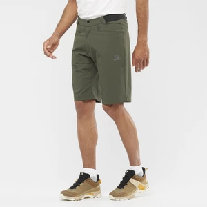 Wayfarer Shorts W Erkek Yeşil Şort LC1762000