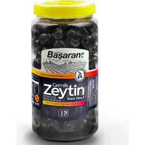 Yağlı Süper Zeytin