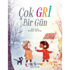 Çok Gri Bir Gün - Marie Lamba