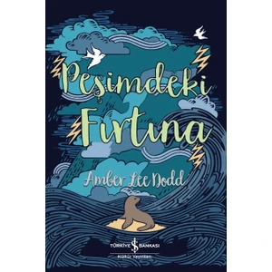Peşimdeki Fırtına - Amber Lee Dodd