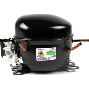 Walton Ev Tipi 1/4 Buzdolabı Kompresör Motor R600