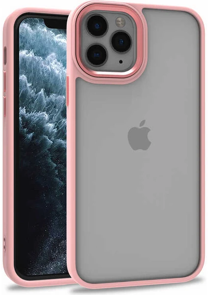 Caseart Apple iPhone 12 Pro Kapak Metal Kamera Korumalı Arkası Şeffaf Silikon Kılıf - Rose Gold