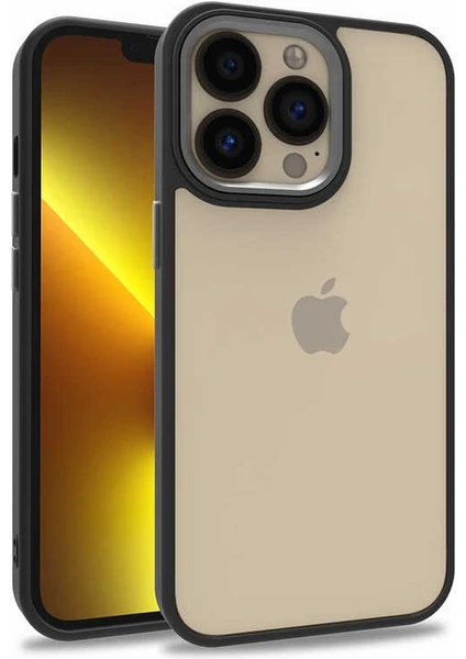 Caseart Apple iPhone 13 Pro Kapak Metal Kamera Korumalı Arkası Şeffaf Silikon Kılıf - Siyah