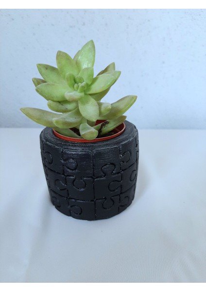 Puzell Beton Saksı 2'li Set Mini Kaktüs Saksı Mini Sukulent Saksı Siyah Sukulent Çiçekli Gönderim fiyatları