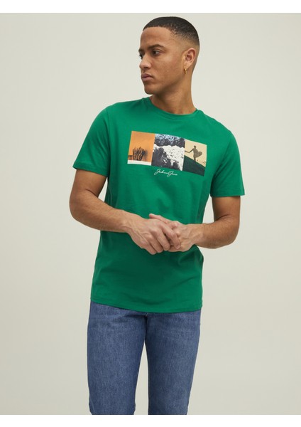 Bisiklet Yaka Baskili Tisört