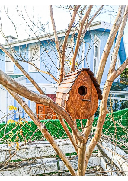 Platanus Peyzaj Ahşap Kuş Evi