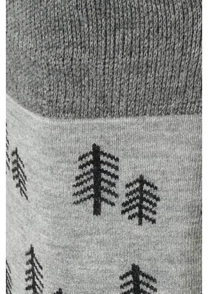 ALTINYILDIZ CLASSICS Erkek Gri-antrasit Bambulu Soket Çorap fiyatları