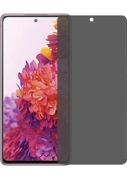 Samsung Galaxy S20 Fe Uyumlu Ekran Koruyucu Temperli Kırılmaz Cam Privacy Davin 5D Hayalet Gizliklik Filtreli Siyah