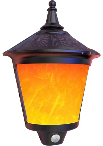 Güneş Bahçe Işığı (Yurt Dışından)