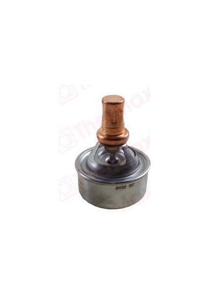 R12 Termostat (75°) 6000046743
