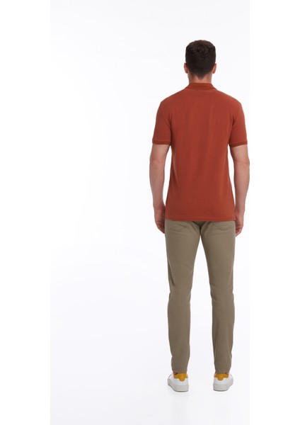 Erkek Kiremit Regular Fit %100 Pamuk Polo Yaka Tişört