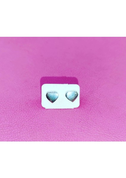 Taşsız Sade Küçük Kalp Şeklinde Çivi Küpe
