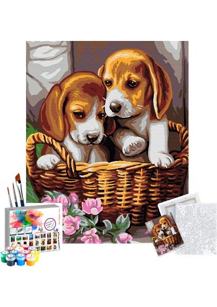 Sayılarla Boyama Seti Tuval Şasesine Gerili 40 x 50 cm Yavru Köpekler