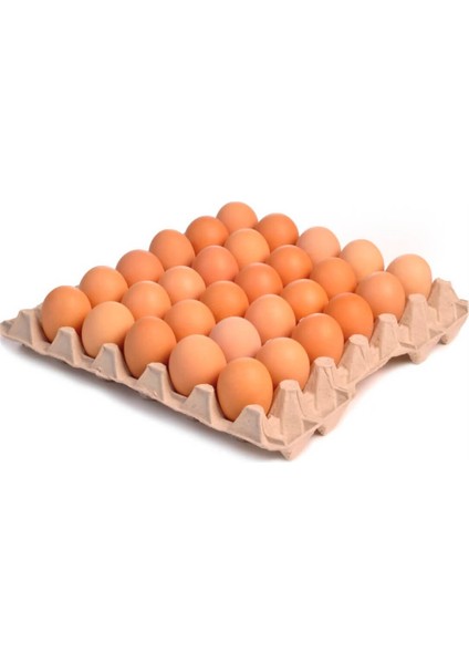 Kandıra Organik Yumurta 30'lu