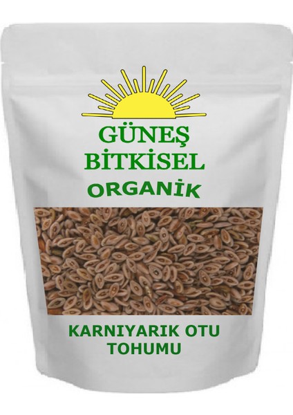 Karnıyarık Otu Tohumu 50 gr