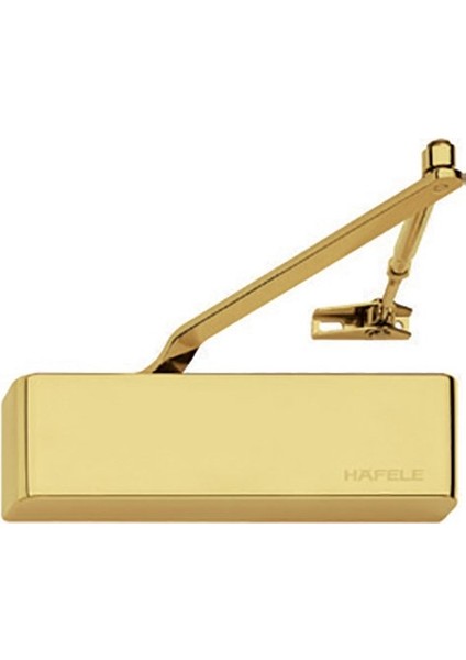 DCL51 Sabitlemeli Kapı Kapatıcı En 2-5, Pirinç Renk