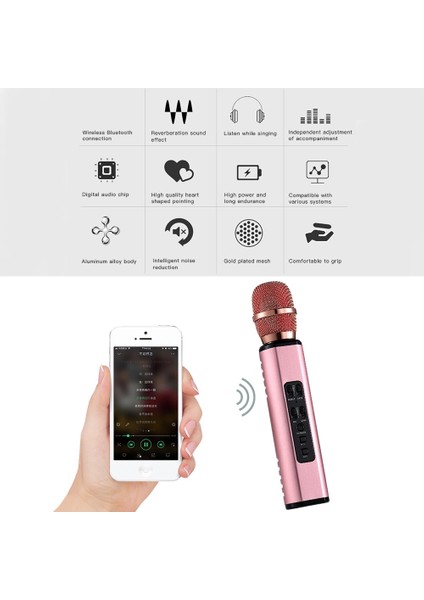 Telefon Bilgisayar Mikrofon Pembe (Yurt Dışından)