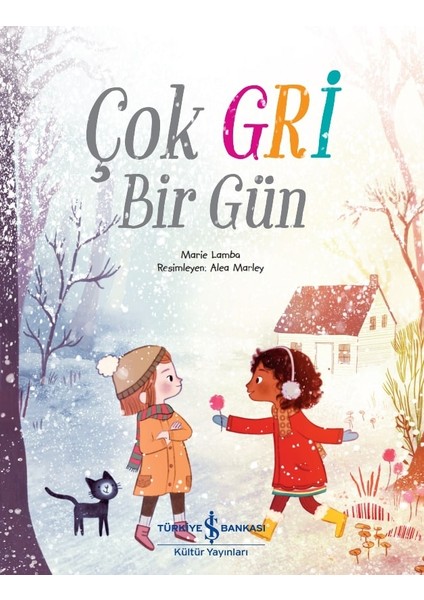 Çok Gri Bir Gün - Marie Lamba